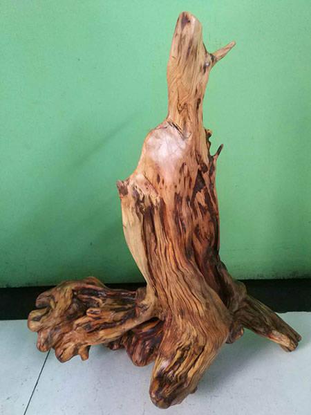崖柏根藝家馬敬科作品欣賞_手機(jī)網(wǎng)