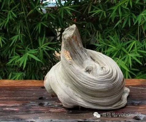 崖柏 木質(zhì)文玩中的未來王者